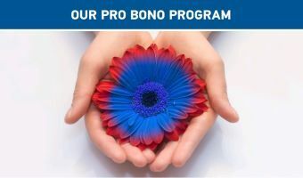 Pro Bono is Powerful