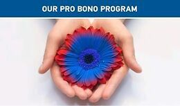 Pro Bono is Powerful