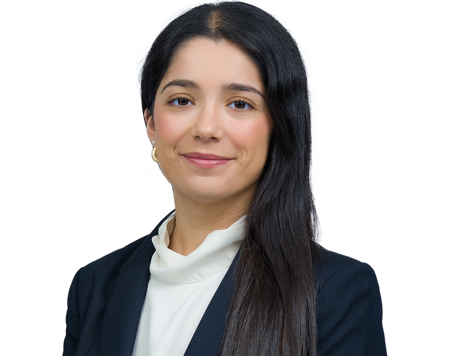 Kathy Fernandez, Zetlin & De Chiara LLP Photo